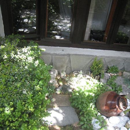 Guest House Voyno Dobrinishte Buitenkant foto
