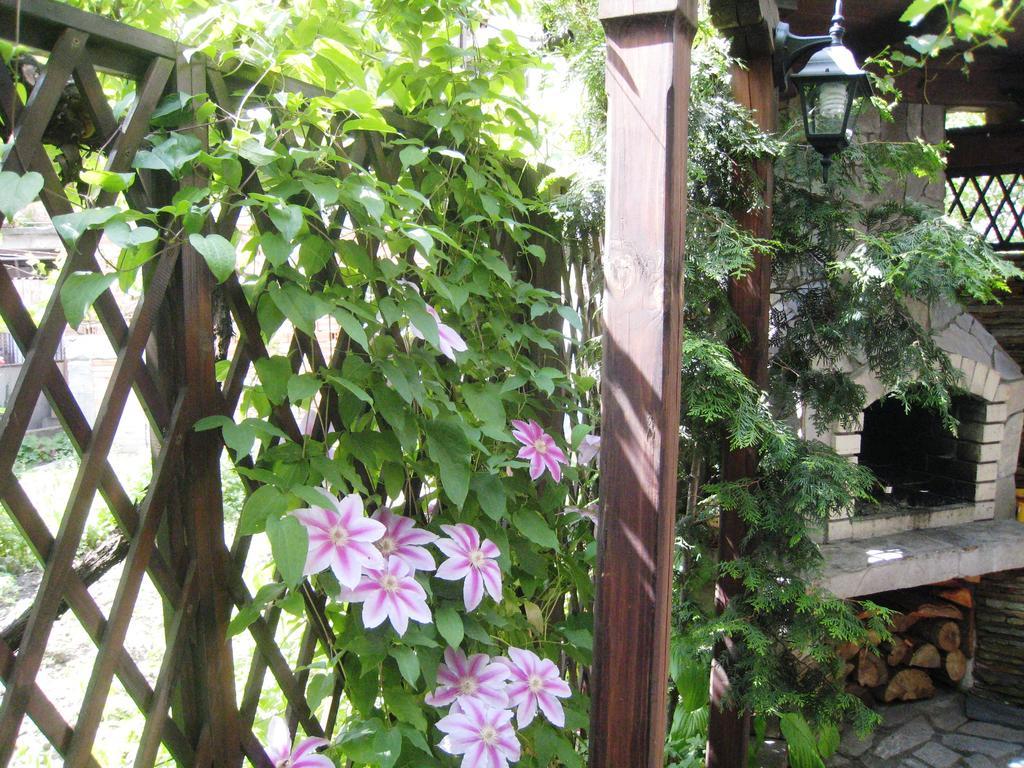 Guest House Voyno Dobrinishte Buitenkant foto