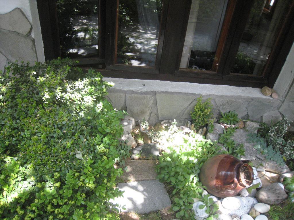 Guest House Voyno Dobrinishte Buitenkant foto